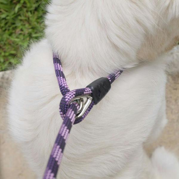 EzyDog Luca Slip Lead in Purple