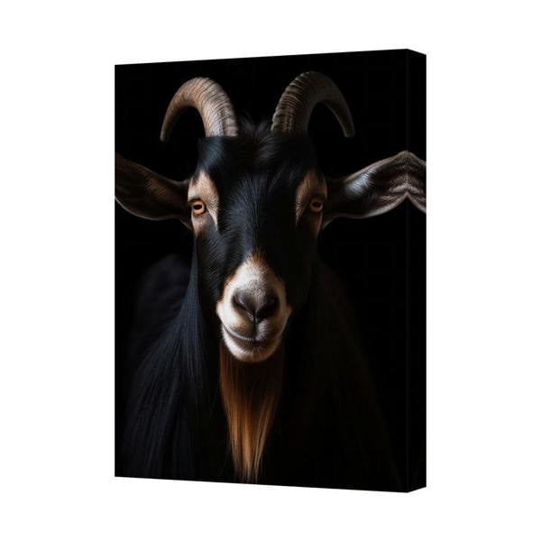 Benjamin Tate Design Goat Portrait Canvas Wall Art Black Background Print