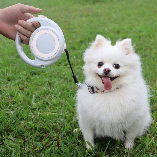 PawTrek Adventure 5M Retractable Dog Leash Living and Home
