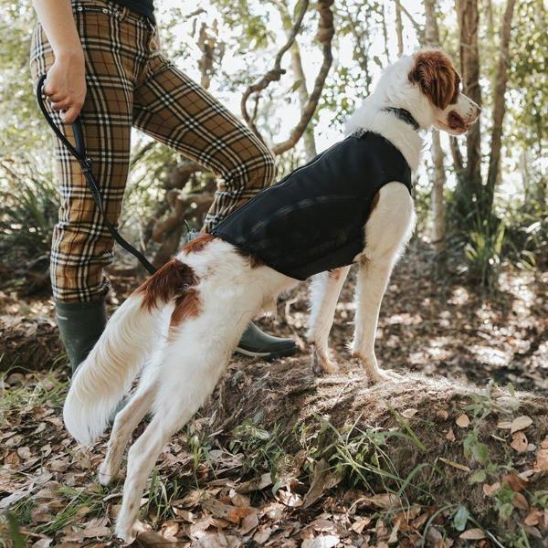 EzyDog Thermax Vest