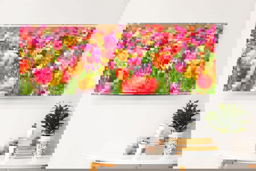 field of tulips canvas print