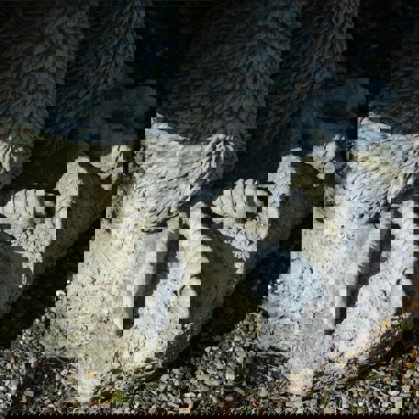 Stone Cast Giant Eagle Statue