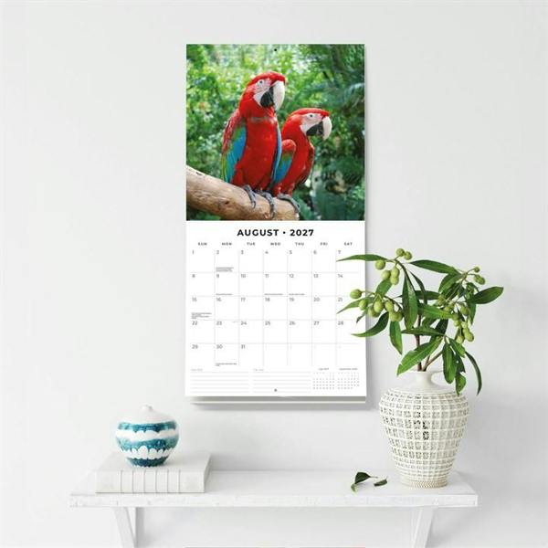 Parrots Calendar 2027, Wall Calendars, Month To View, Animals, Gift