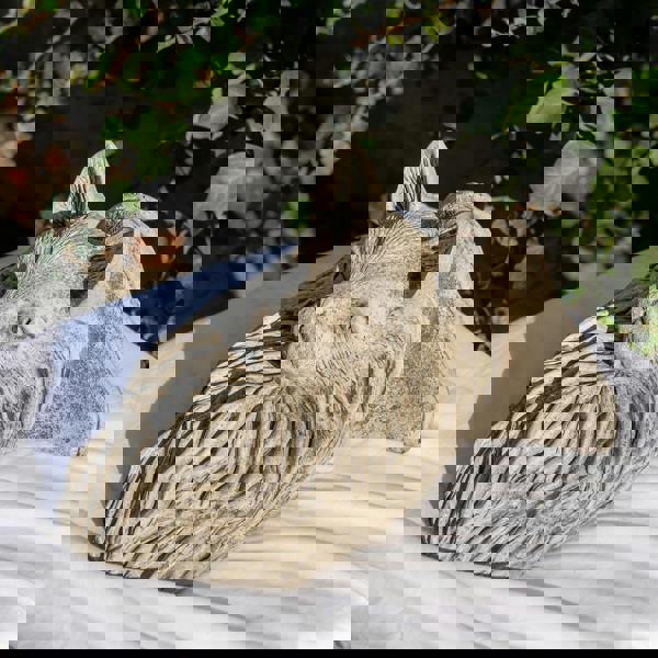 Cat design Wall Shelf and Plaque Garden Ornaments