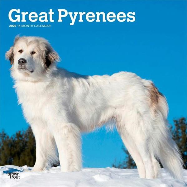 Great Pyrenees Calendar 2027, Wall Calendars, Month To View, Dogs, Gift