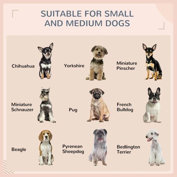 Dark rattan-style elevated dog bed sizing for small to medium dogs
