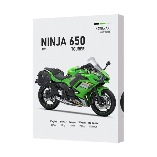 Benjamin Tate Design Ninja 650 Tourer Kawasaki Canvas Wall Art Print 2025