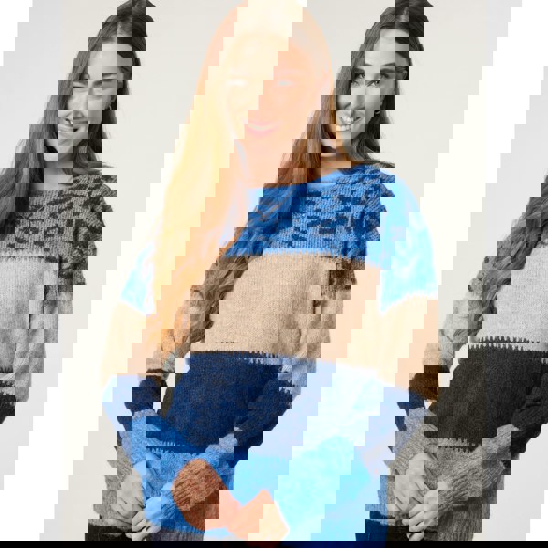 Blue Vanilla Animal Colour Block Jumper