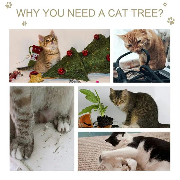 Cat tree promotional collage with cats near scratching and plush surfaces
