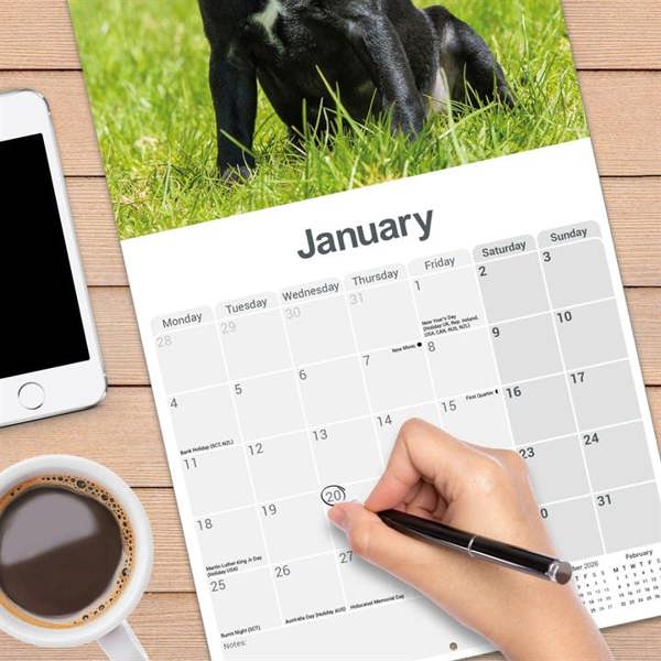 Patterdale Terrier Calendar 2027, Wall Calendars, Month To View, Dogs, Gift