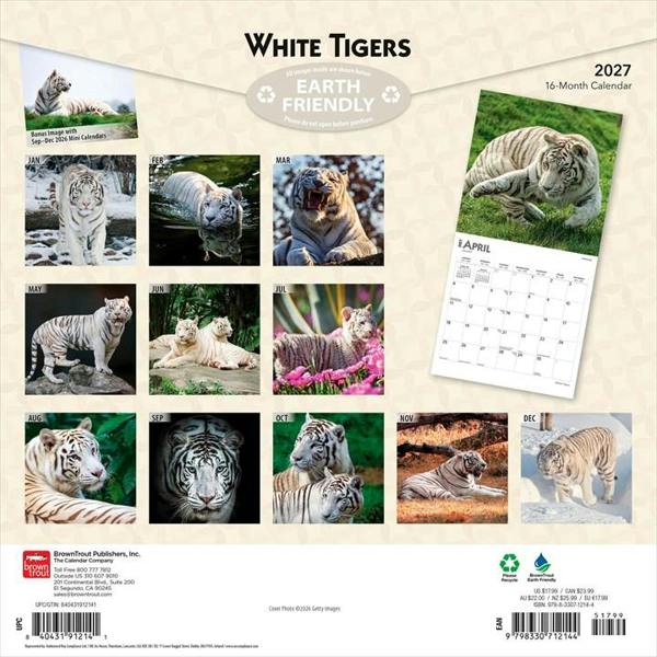 White Tigers Calendar 2027, Wall Calendars, Month To View, Animals, Gift
