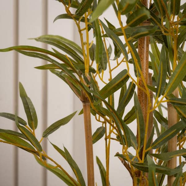 Scottish Everlastings 90Cm Bamboo Tree