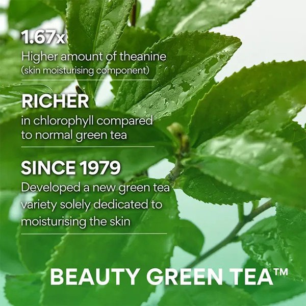 INNISFREE Green Tea Seed Hyaluronic Cream 50ml