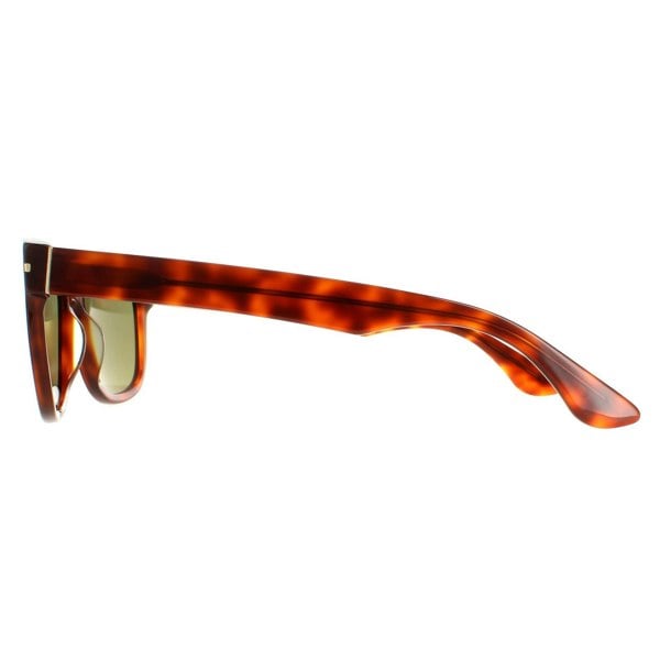 Serengeti Sunglasses Foyt Large SS550001 Shiny Classic Havana Polarized 555nm