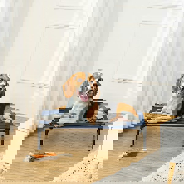 D1-0237