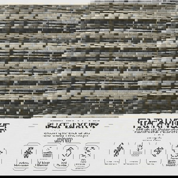 Rattan Sofa Set