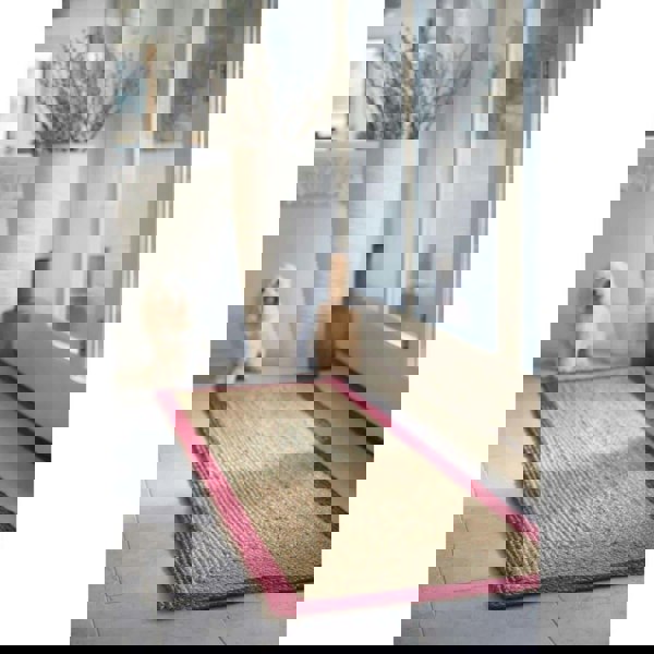 Bordered Raspberry Jute Rug | Natural Home Decor | The Rugs