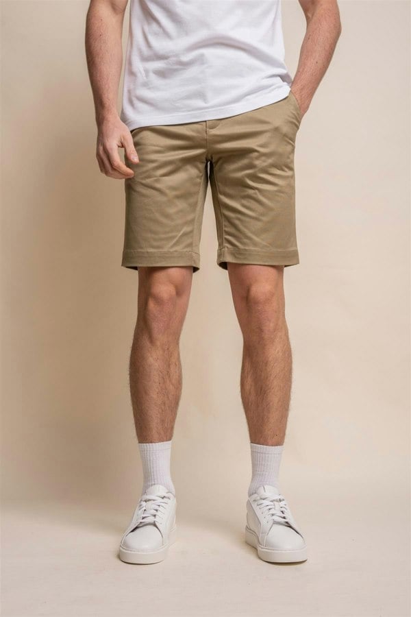 Dakota stone chino shorts front