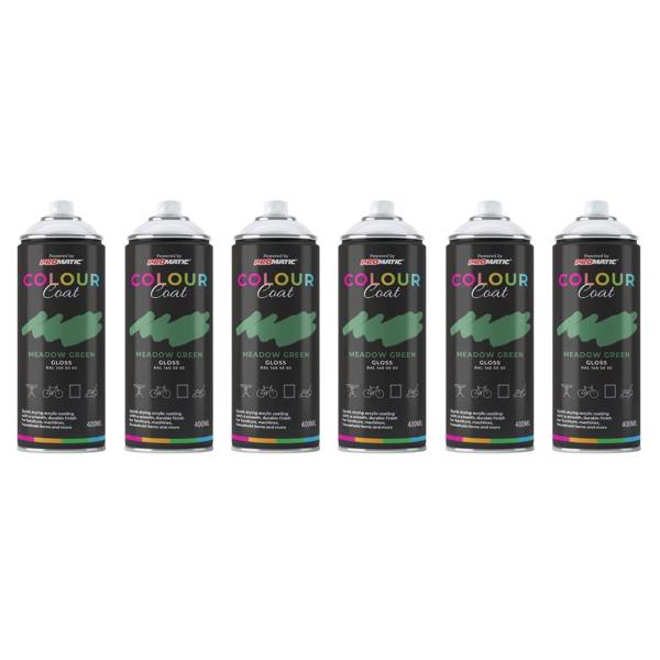 Colour Coat 6X Meadow Green RAL 140 50 50 Gloss Spray Paint 400ml