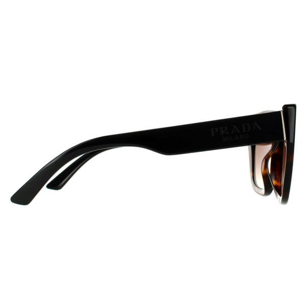 Prada Sunglasses PR24XS 2AU6S1 Havana Brown Gradient