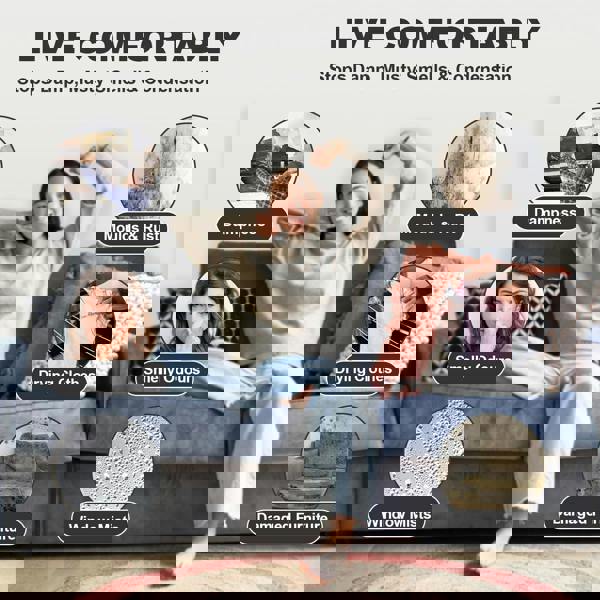 MANTRARAJ 500ml Interior Dehumidifier Disposable To Stop Damp Mould Mildew Moisture Absorber