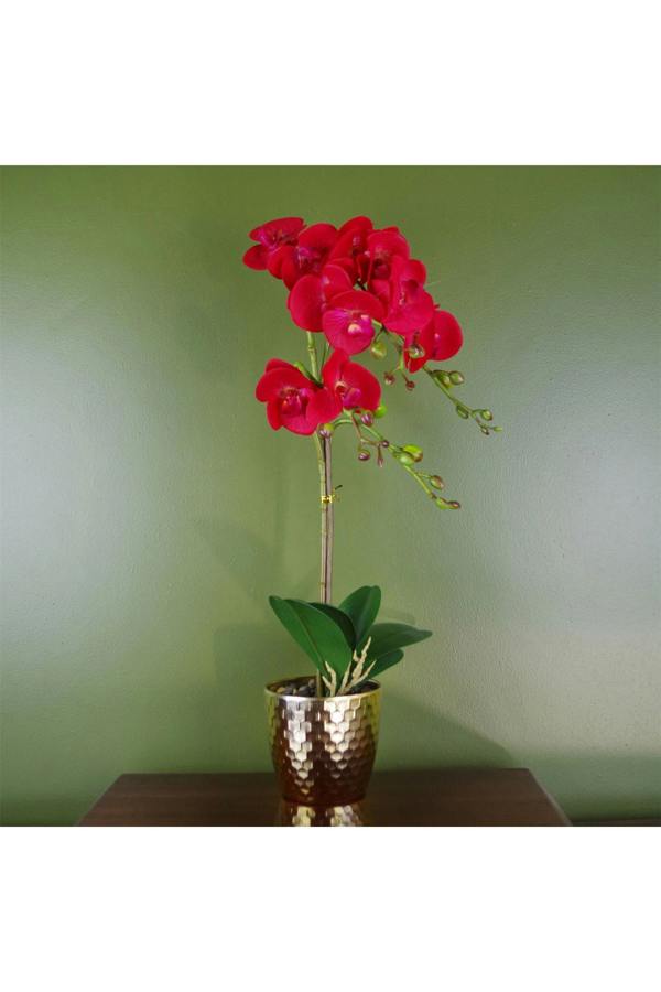Dyzi 50cm Real Touch Artificial Orchid in Golden Honeycomb Pot