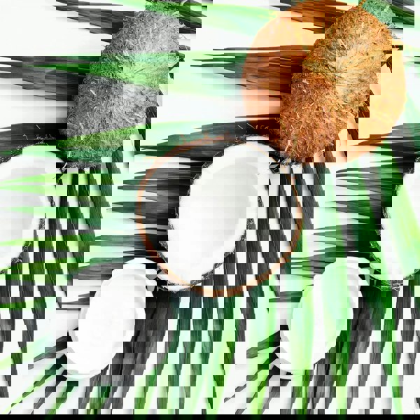 L'Anza Healing Moisture Moisturizing Mist 200ml Spray