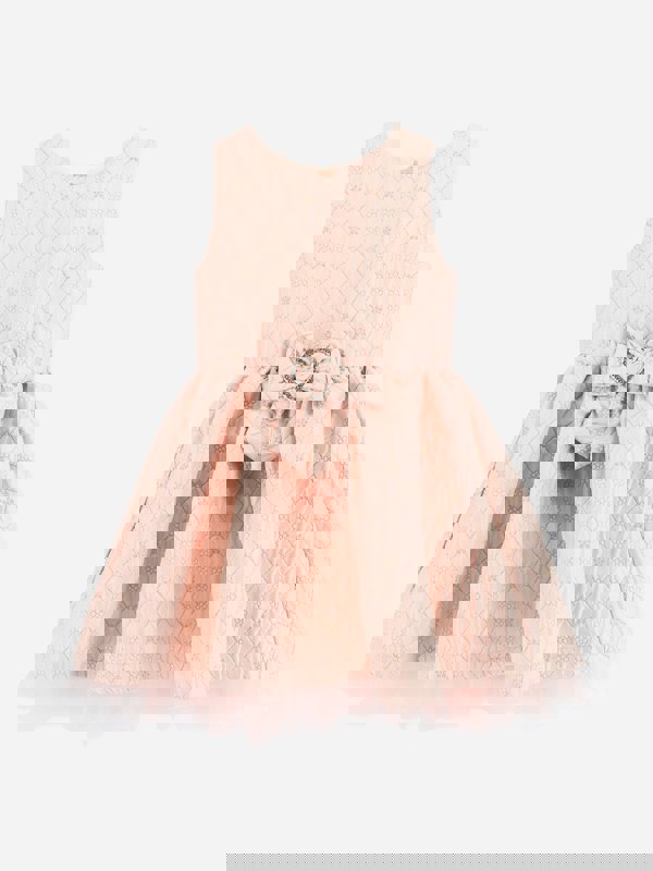 Angels Face Girls Monty Flower Jacquard Dress in Pink