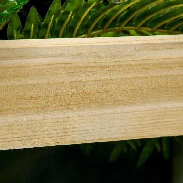 Close-up of natural wood raised planter board with visible grain and smooth finish