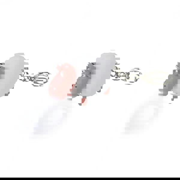 Regatta Great Outdoors Childrens/Kids Animal Keyring Torch - White - 