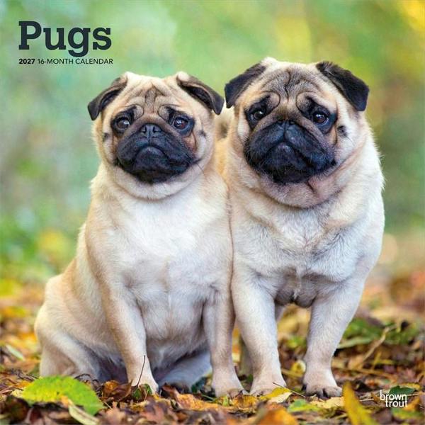 Pugs Calendar 2027, Wall Calendars, Month To View, Dogs, Gift