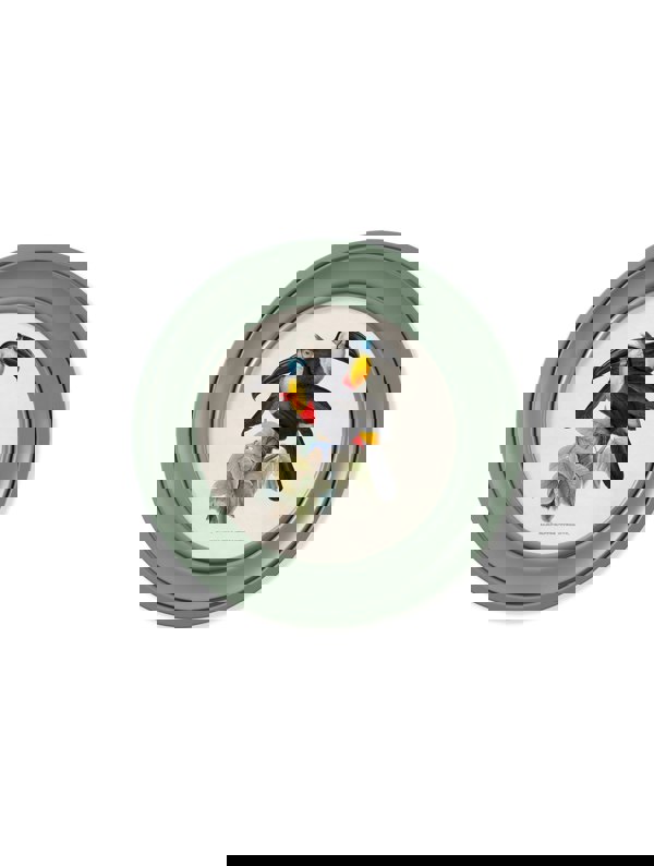 Exceptional Art c.1848 Toucans - Round Frames Green