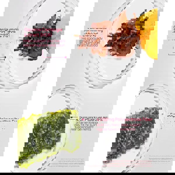 FOODOLOGY Coleology Bowel Movement Jelly 25g x 10 sticks