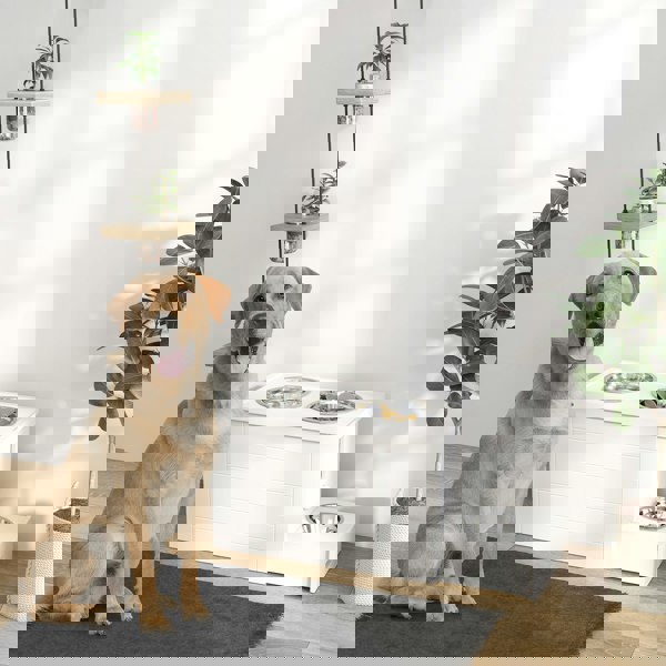 D08-067V00WT