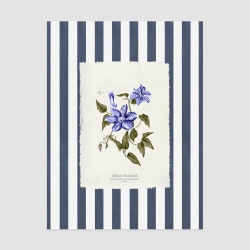 Joules Clematis Climber A2 Wood Frame | Blue