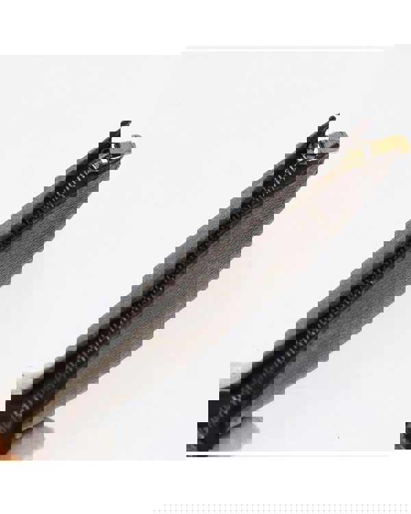 193980685.jpg