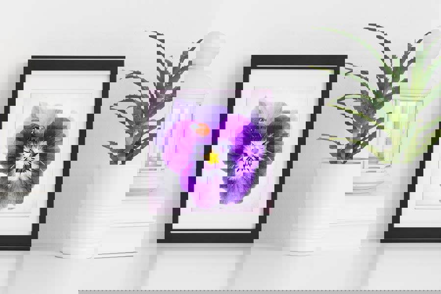 Ladybird on flower framed art print