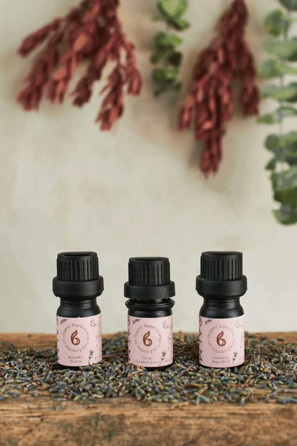 B Calm Aroma Diffuser with Essential Oil Steps - Stress Relief, Energy Boost, Sleep & Hormone Balance
