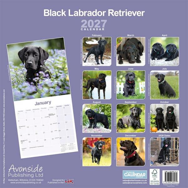 Black Labrador Retriever Calendar 2027, Wall Calendars, Month To View, Dogs, Gift
