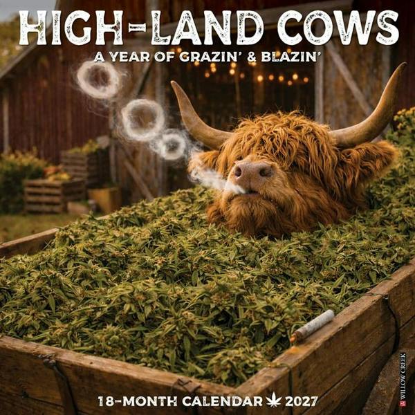 HIGH-land Cows Calendar 2027, Wall Calendars, Month To View, Animals, Gift