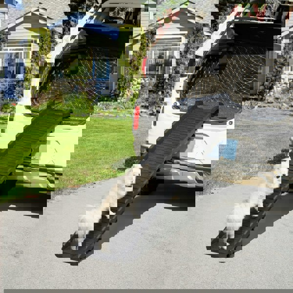 D06-153V00BK