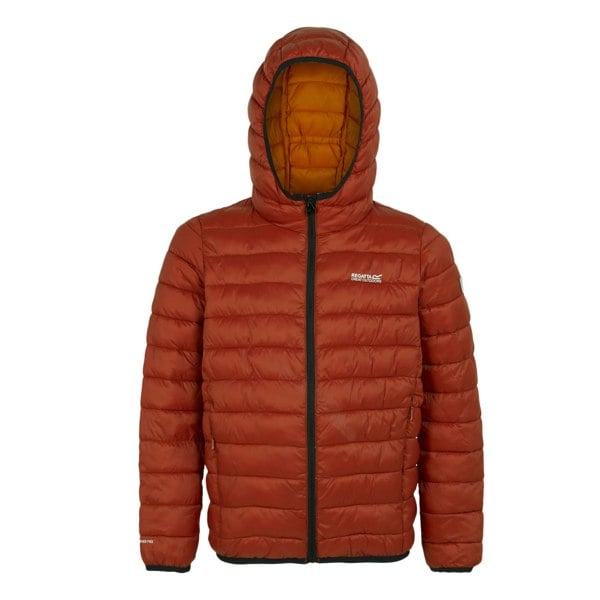 Regatta Childrens/Kids Marizion Hooded Padded Jacket - Red Ochre/Fox