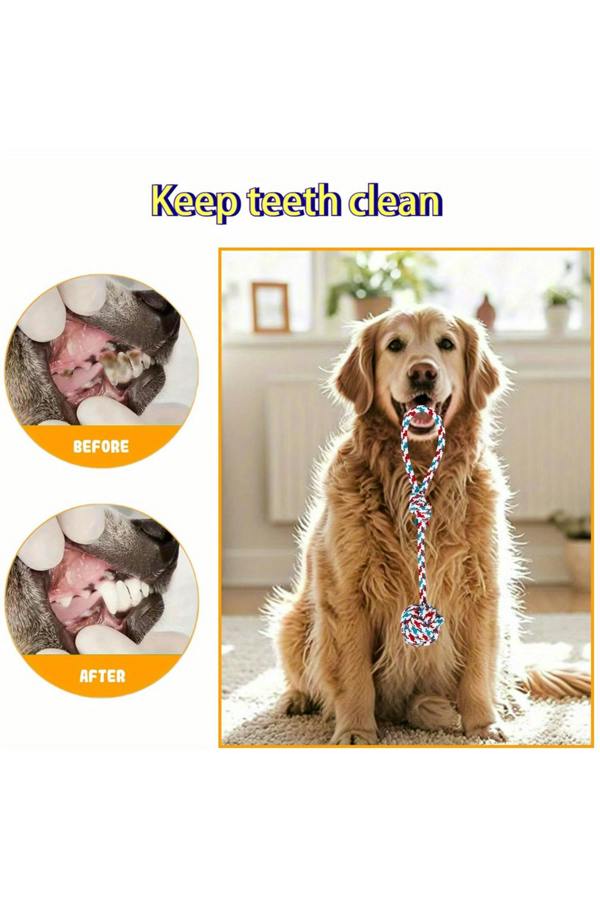 Dyzi 7pcs Interactive Dog Chew Rope Knot Toys Set Red Blue Training Play