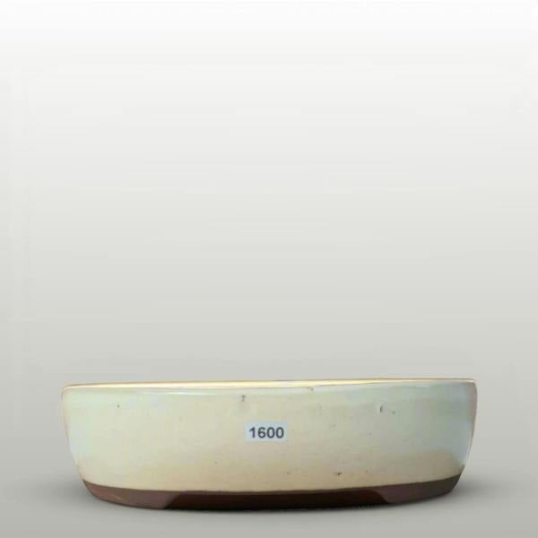 26cm Glazed Bonsai Pot | Oval | 26cm x 22cm x 6.5cm | White - Yorkshire Bonsai standardised image 20260606-160002