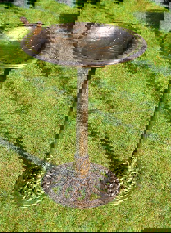St Helens Bronze Ornamental Free Standing, Weather Resistant, Pedestal style, Easy Assemble Bird Bath