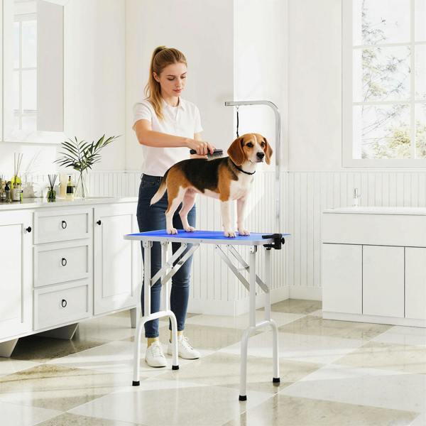 Pet Grooming Table