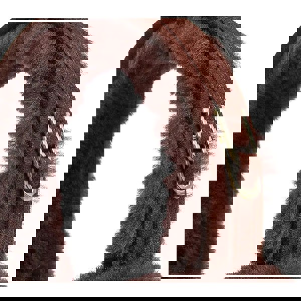 Leather Company Womens Sheepskin Shearling Winter Ear Muffs