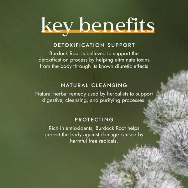 Fushi Wellbeing Organic Burdock Root