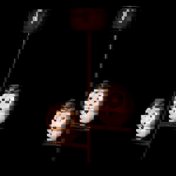 Milagro Owl Ceiling Lamp 2XG9 Part Of The Nature Themed Childrens Range Great For Bedroom Nursery Or Playhouse Safe And Comforting