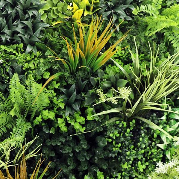 Premium Artificial Plants Green Wall Panel 1m x 1m - Amazon - Evergreenery